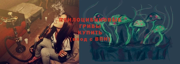 крисы Галич