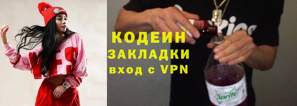 крисы Галич