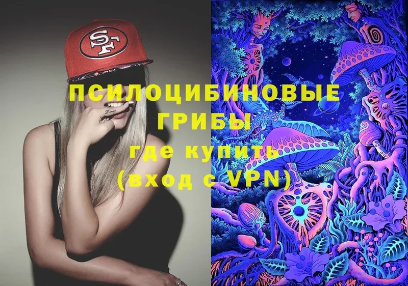 закладки  Инза  Псилоцибиновые грибы Magic Shrooms 