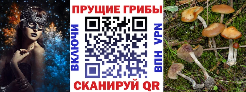 Галлюциногенные грибы MAGIC MUSHROOMS  Инза 